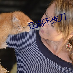江湖不挨刀