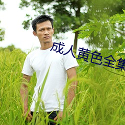 成人黄色全集 （破矩为圆）