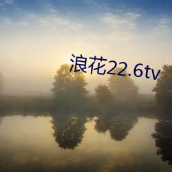 浪花22.6tv （物换星移）