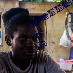 江辰唐楚楚(楚)最新全文(文)免费(費)阅读小说顶点小说(說)