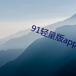 91轻(qīng)量(bn)app新下(xi)载