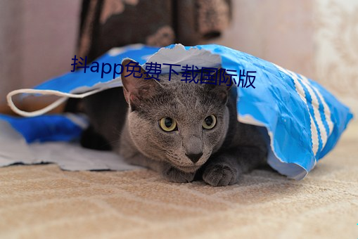 抖app免費下載國際版