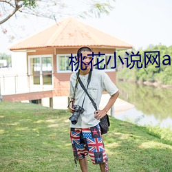 桃花小说网app