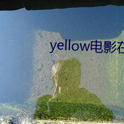 yellow电影在线观看免费