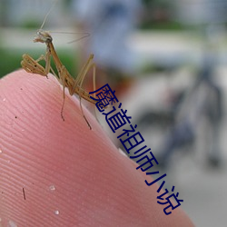 魔(魔)道祖师(師)小说