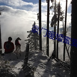 豪(háo)门暖(nuǎn)婚蜜爱