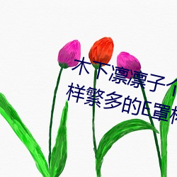 木下凛(凜)凛子个(個)人(人)资料 行为(爲)大胆花样繁(繁)多的(的)E罩杯(杯)女优(優)