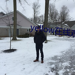 yellow在线观看高清大全