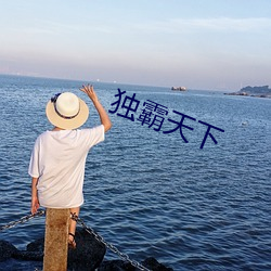 独霸天下