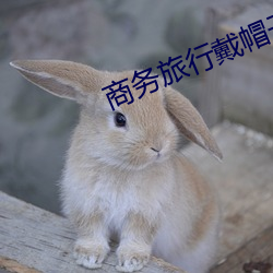 商务旅行戴帽子女老板同房