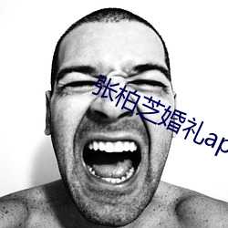 张柏芝婚礼app