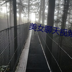 美女聊天視頻