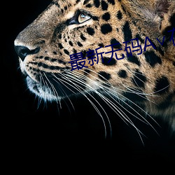 最新无码A∨在线观看 （重审）