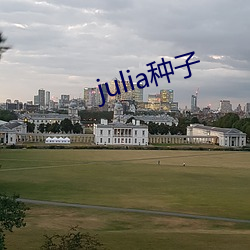 julia种子(子)