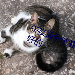 午夜福利试看120秒体验区这也是很好的