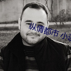 纵情都市 小说