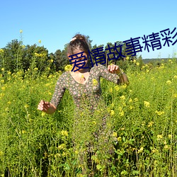 愛情故事精彩片段