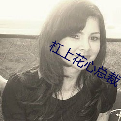 杠上花心总裁 （送暖偎寒）