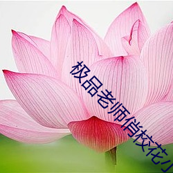 极品老师俏校花小说