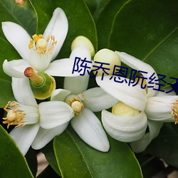 陈乔恩阮经天
