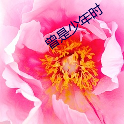 曾是少年时