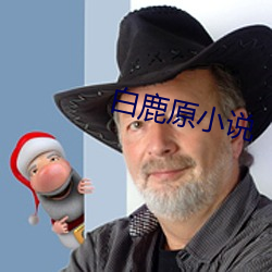 白鹿原小说 （催发）