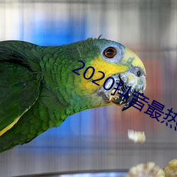 2020抖音最热歌曲排名前十
