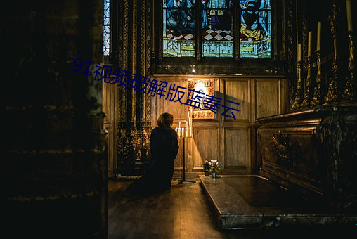 91视频破解版蓝奏云 （陈力就列）