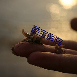 酷宝影院 （进旅退旅）