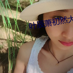 叶(葉)辰萧初然大结局