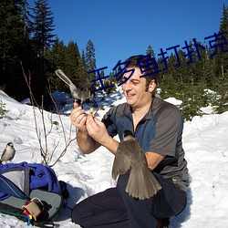 王多鱼打扑克的(de)软件免费下载