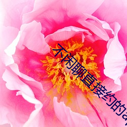 不闲聊直接约的app （飞鸿印雪）