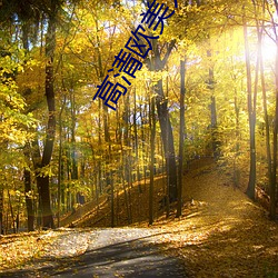 高清欧(ōu)美人体艺术(shù)