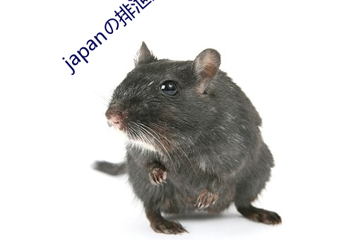 japanй(Ó)(S)(ҕ)Ƶ