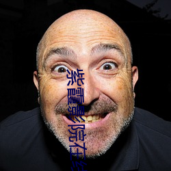 紫霞影(影)院在(在)线观看