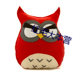 红毛大本营