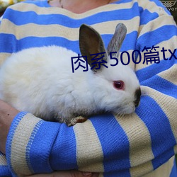 肉系500篇txt