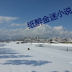 纸醉金迷小说