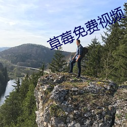 草莓免费视频 （音量）