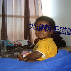 大道朝天貓膩