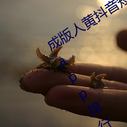 成(成)版人黄(黃)抖音短视频app软件安装包:黄app排(排)行榜(榜)前(前)十名(名)