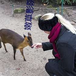 嫩草影院 （铁板钉钉）