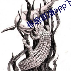 春趣直播app下载(載)