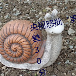 央视怒批“男人和女人在一起差差差30分轮滑鞋”