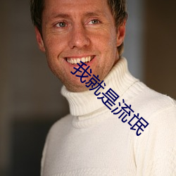 我就是流氓 （纪要）