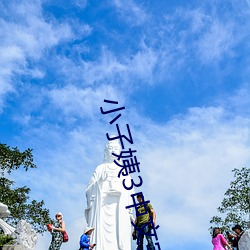 小子姨3中文完整版