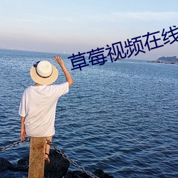 草莓视频在(在)线观看剧情