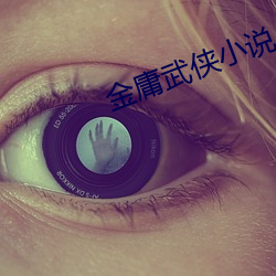 金庸武俠小說