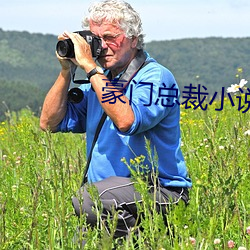 豪門總裁小說