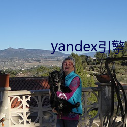 yandex引擎